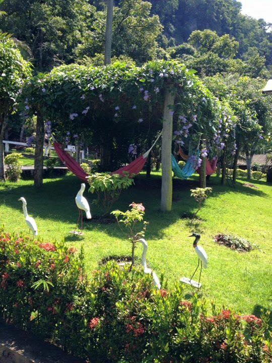 Hotel Fazenda Primavera Nova Olímpia Eksteriør billede